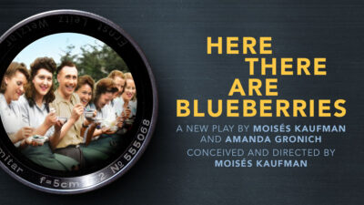 Here There Are Blueberries